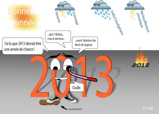 Carte de voeux 2013